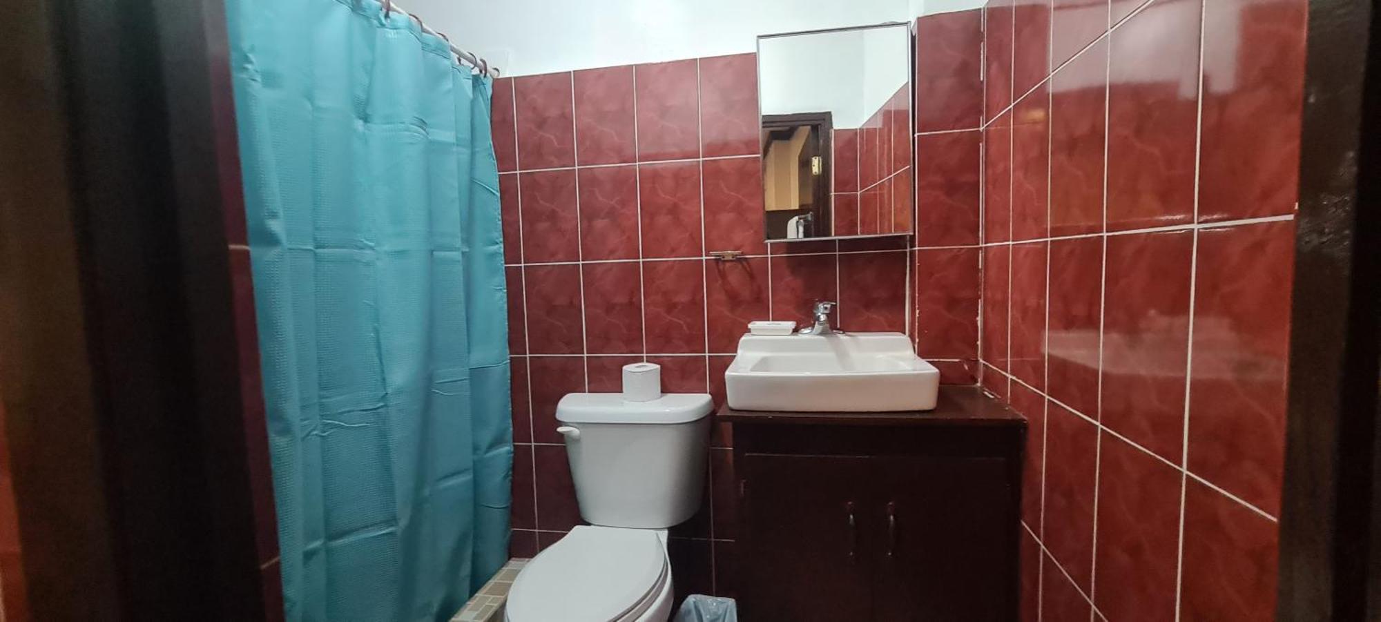 Palau Paradise Comfort Корор Стая снимка